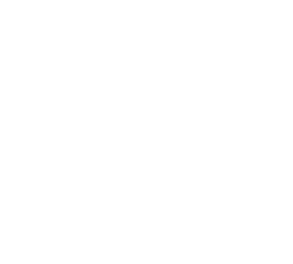 LOGO CARL VAN DE VELDE BUSINESS INSTITUTE