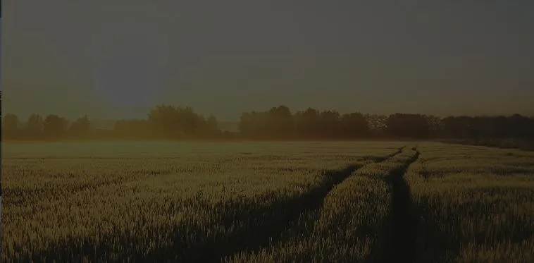 Sell Land Fast for Cash