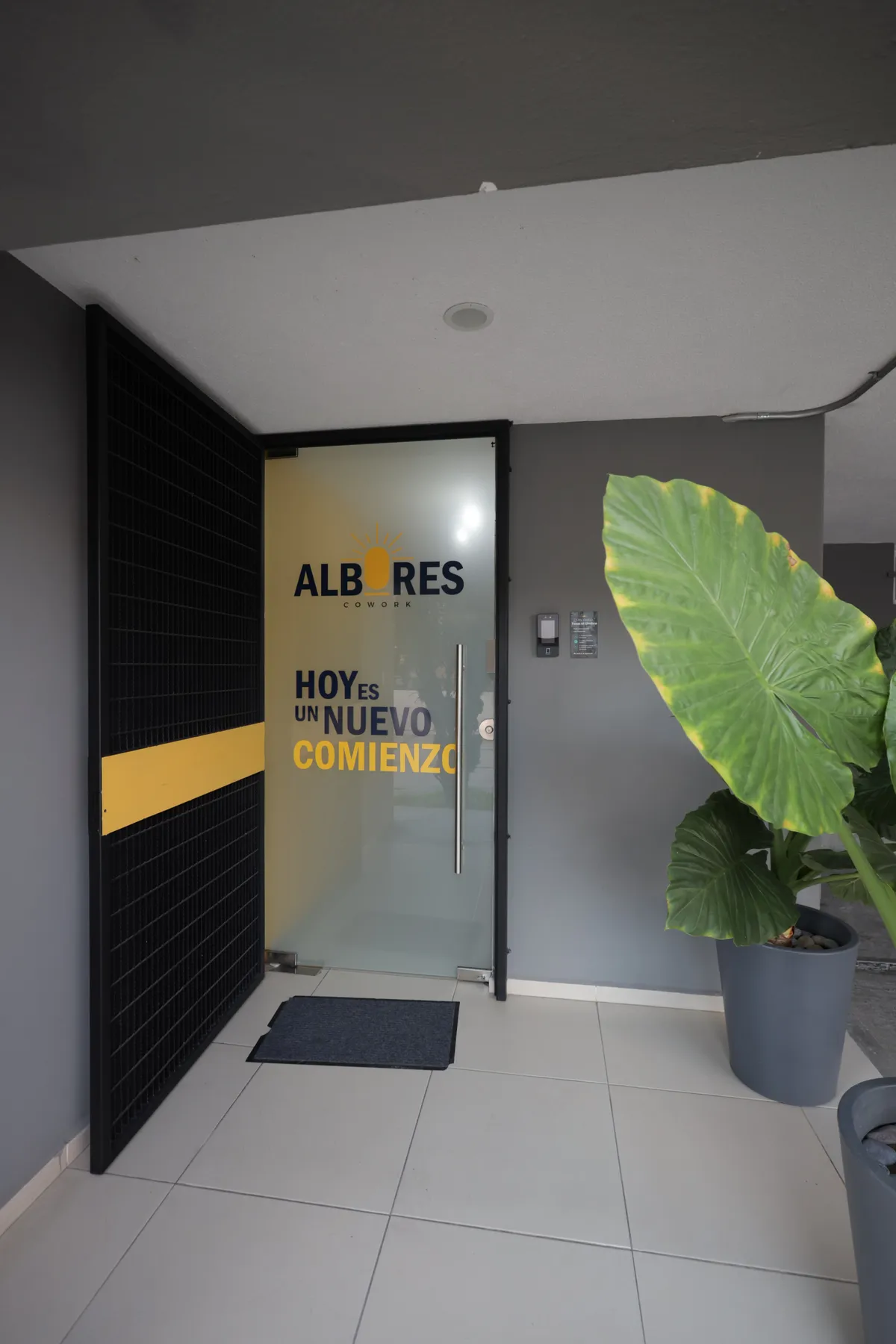 7 mitos del coworking en San Luis Potosí (que escuchamos cada semana en Albores)