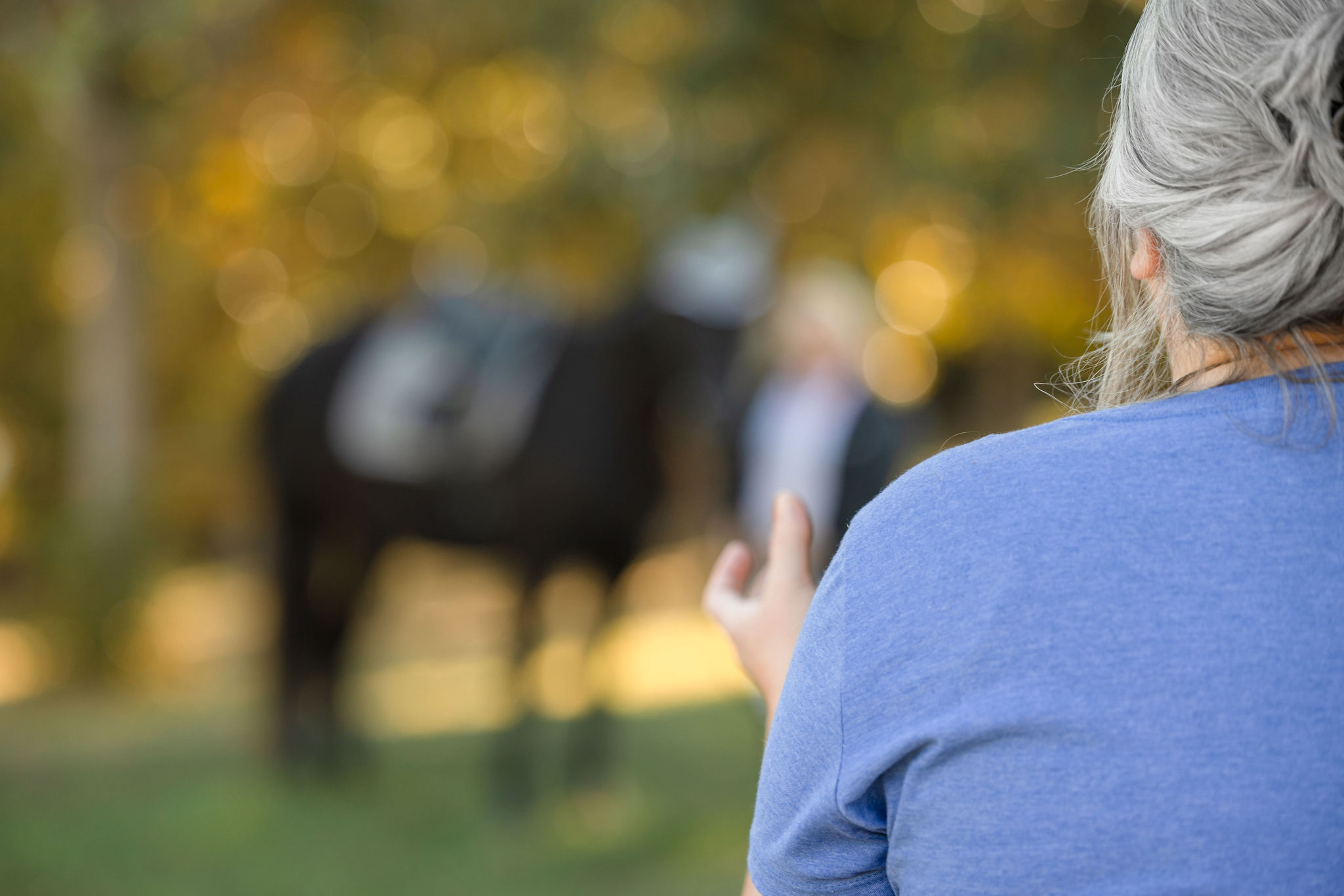 5 Tips to Build a Profitable Horse Photography Business