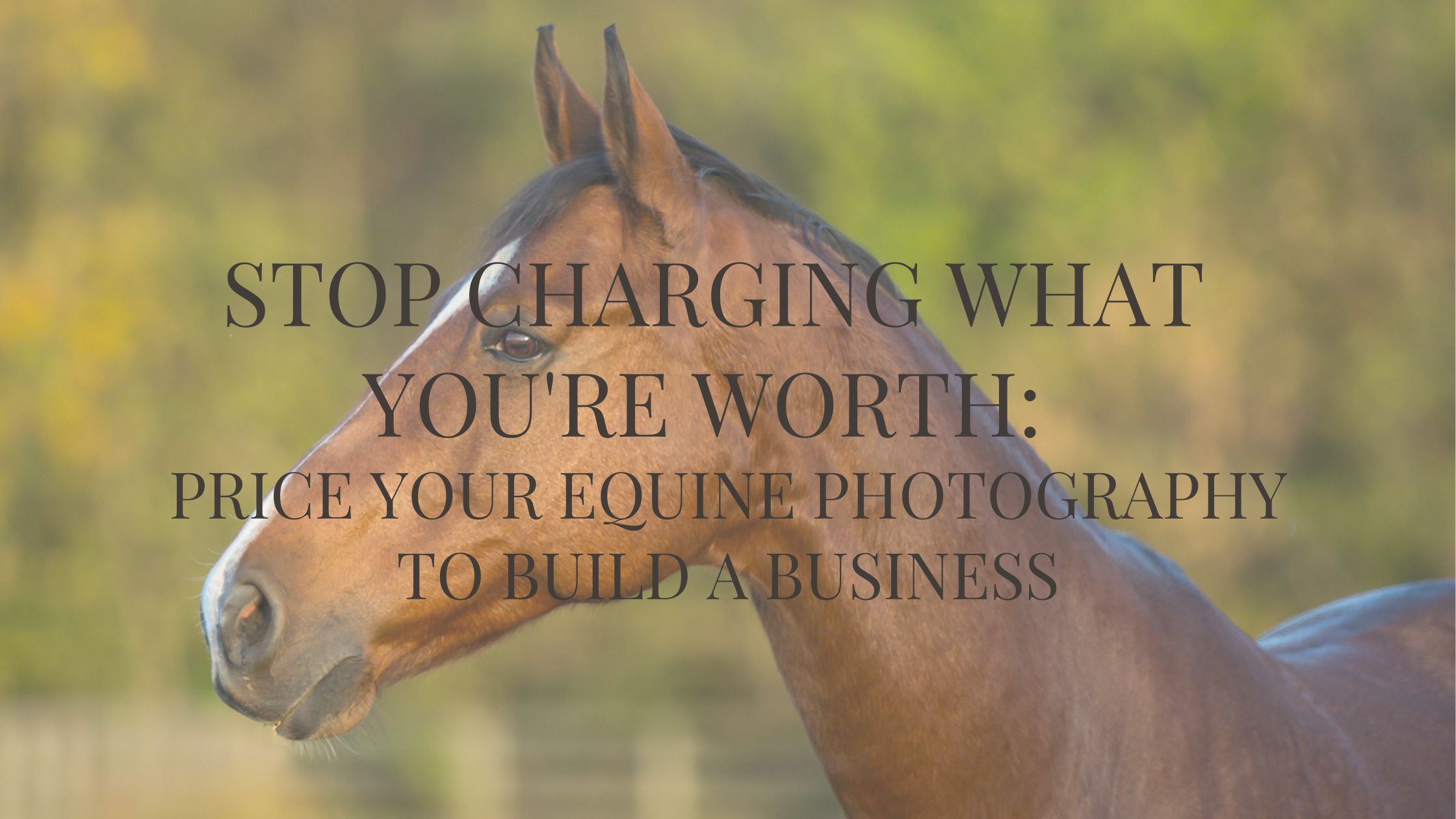 Stop Charging What You're Worth: Price Your Equine Photography to Build a Business