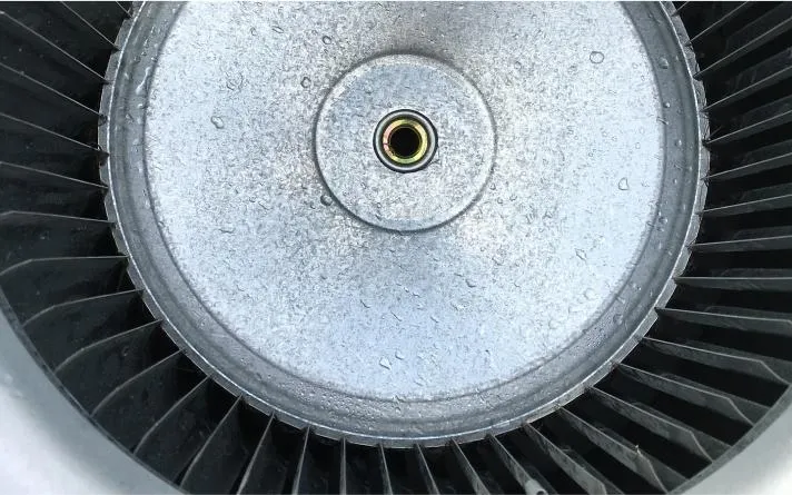 Blower Motor Cleaning