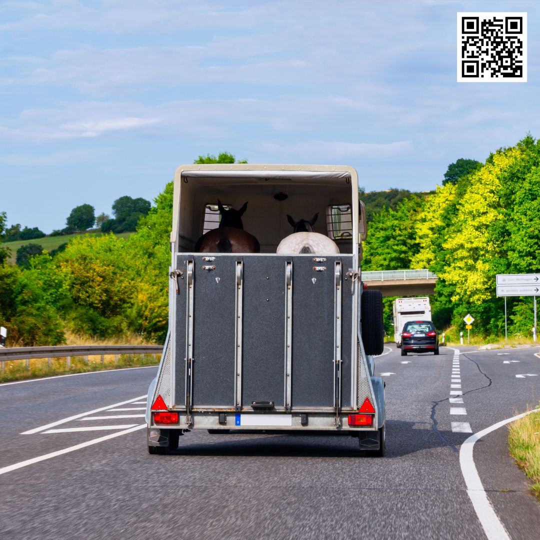 Roadside Assistance for Horse Trailers