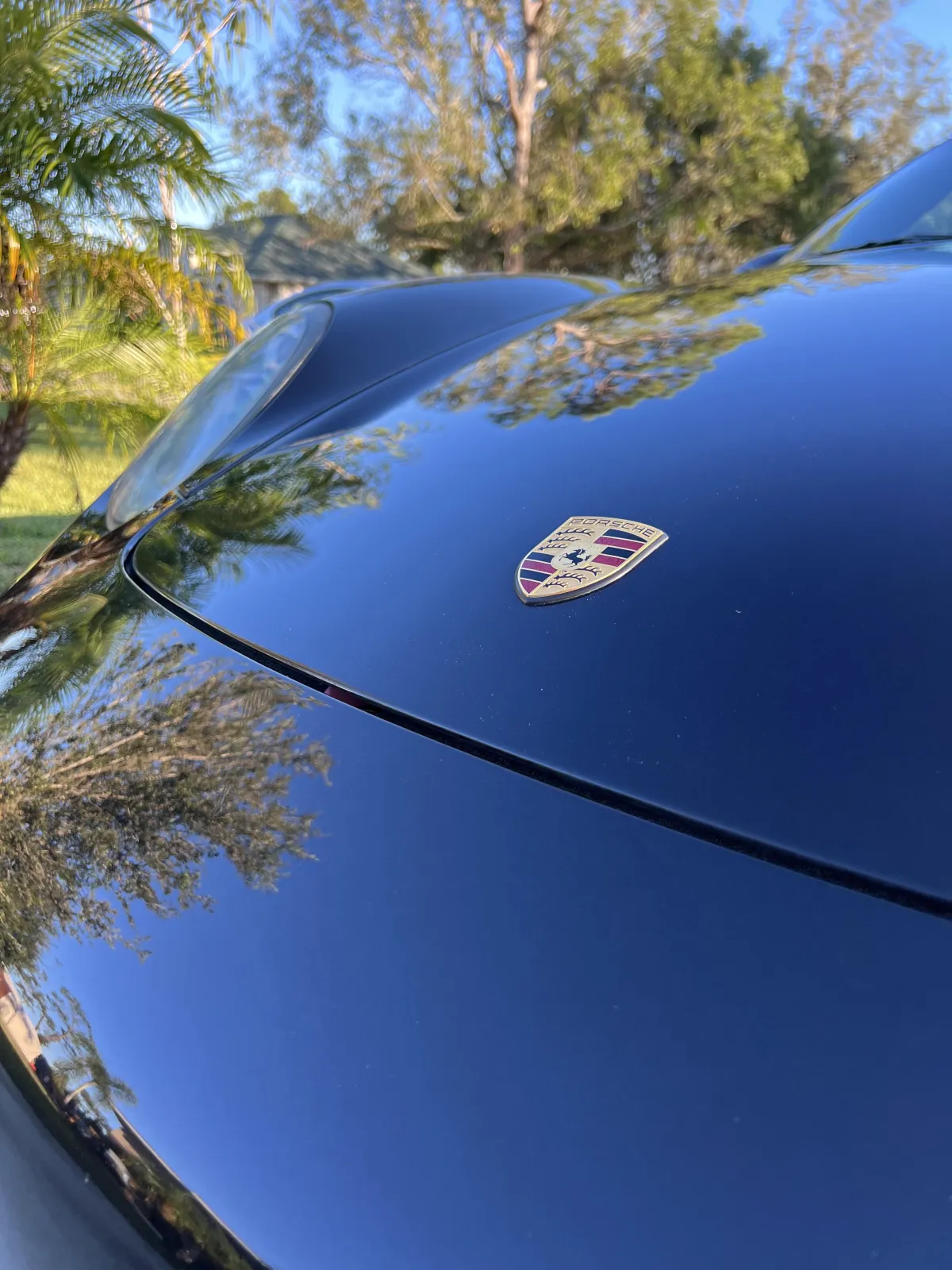 Paint Correction