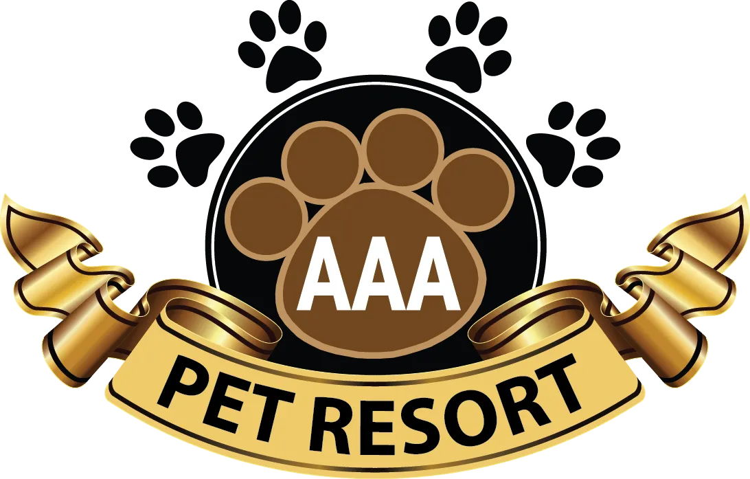 Luxury Pet Boarding Brisbane