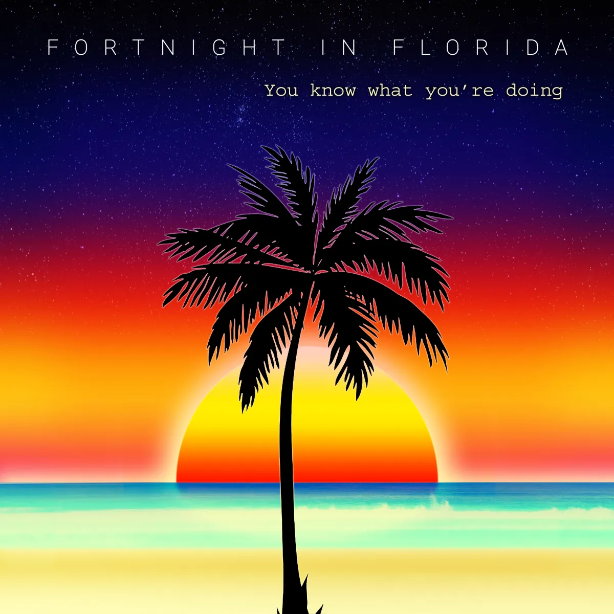 'You Know What You're Doing' by Fortnight in Florida — moody synth-pop single available to stream on all major platforms: Spotify, Apple Music, YouTube, Deezer, Amazon Music, SoundCloud, and TIDAL