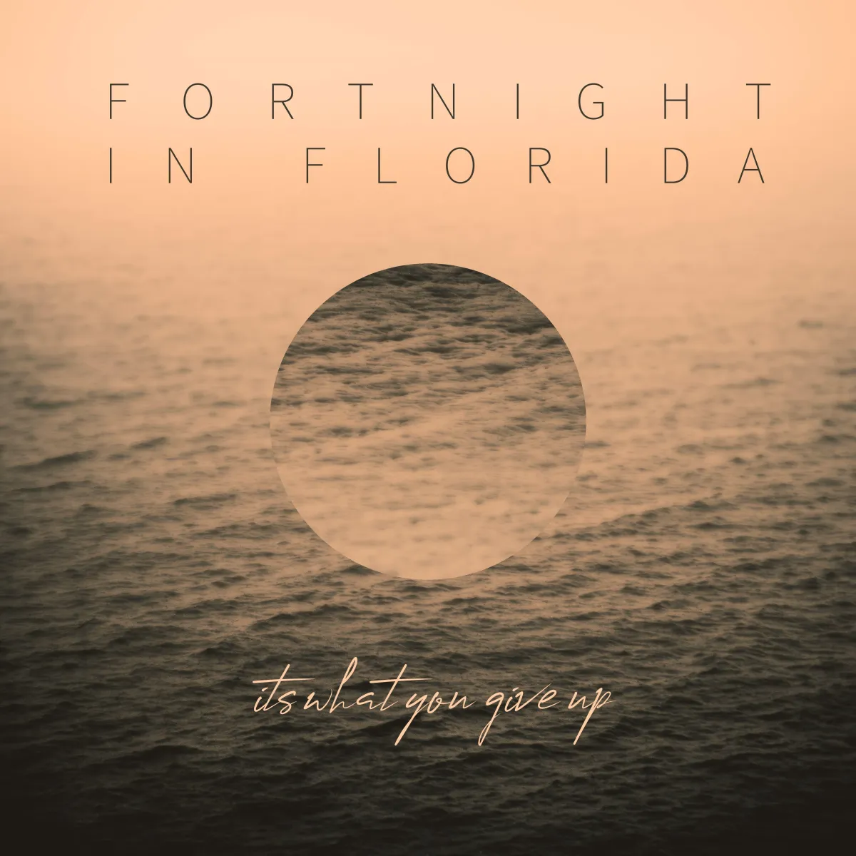 'It's What You Give Up' by Fortnight in Florida — moody synth-pop single available to stream on all major platforms: Spotify, Apple Music, YouTube, Deezer, Amazon Music, SoundCloud, and TIDAL