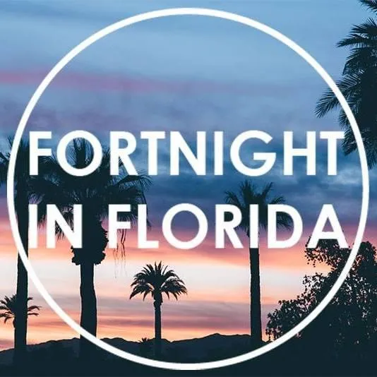 Ultimate remixes collection by Fortnight in Florida — moody synth-pop single available to stream on all major platforms: Spotify, Apple Music, YouTube, Deezer, Amazon Music, SoundCloud, and TIDAL