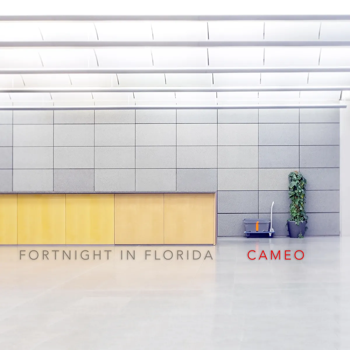 'Cameo' a single by Fortnight in Florida — moody synth-pop single available to stream on all major platforms: Spotify, Apple Music, YouTube, Deezer, Amazon Music, SoundCloud, and TIDAL