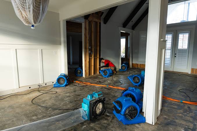 Professional water damage mitigation service