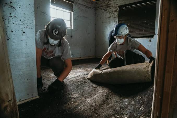 Professional flood damage cleanup service