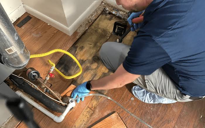 Professional mold remediation service