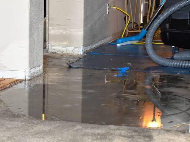 Professional water extraction and water removal service