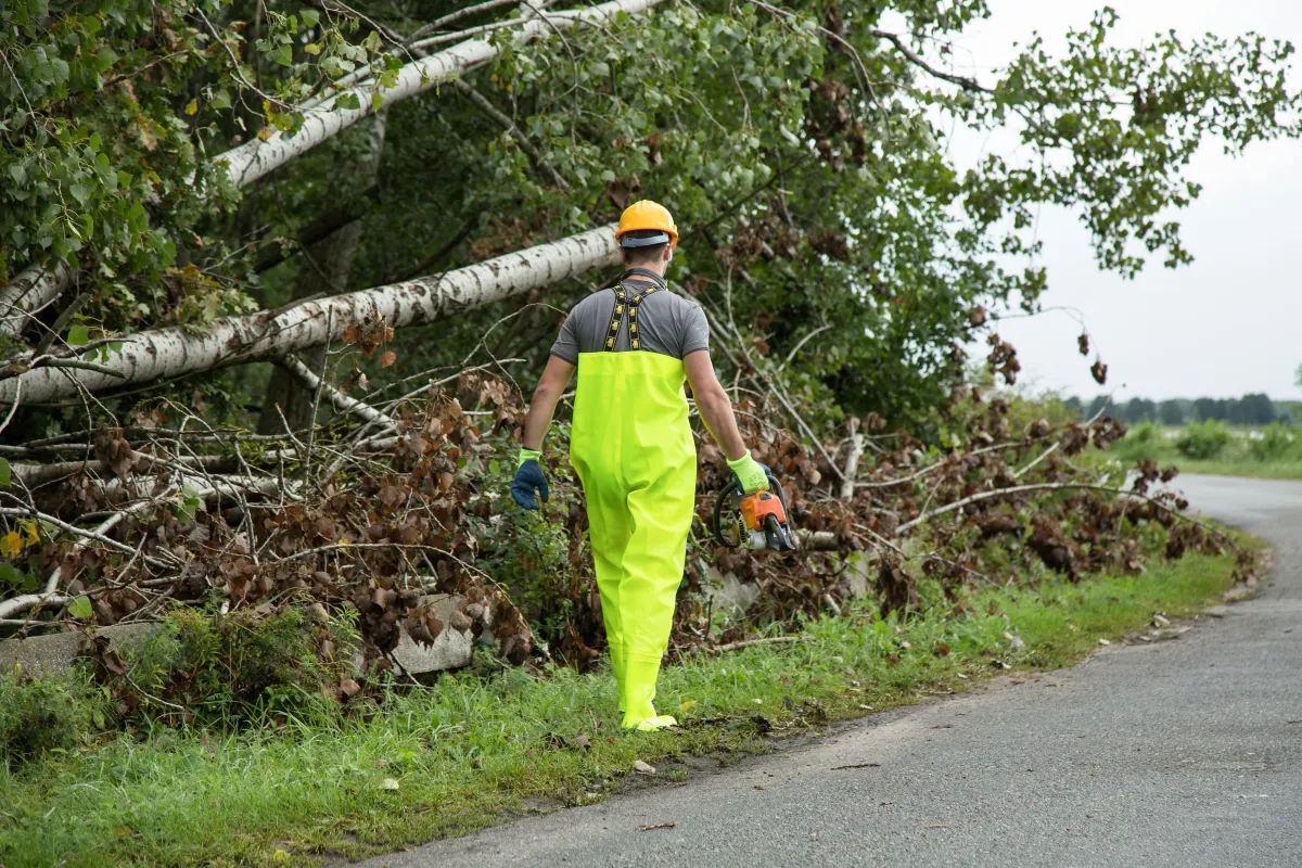 Storm damage cleanup service for a property
