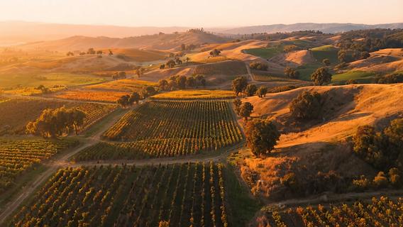 Pros and Cons of Living in Paso Robles (2026): An Honest Local Guide