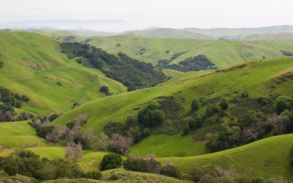 What Is It Really Like Living in Templeton? A Local's Guide to Everyday Life (2026)