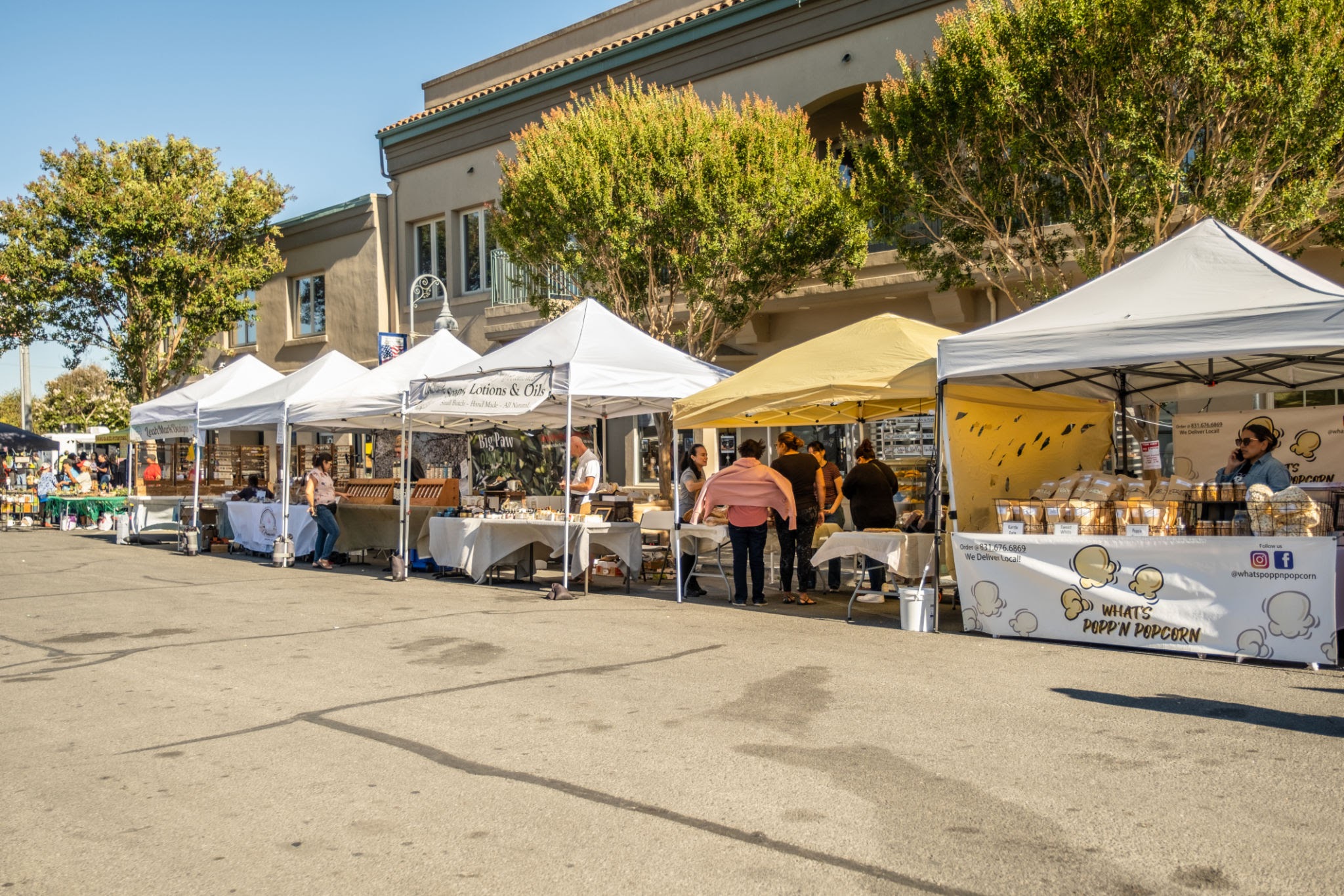 White vendor tents lined up along a street for a community farmers market on a sunny day in downtown Atascadero, California.