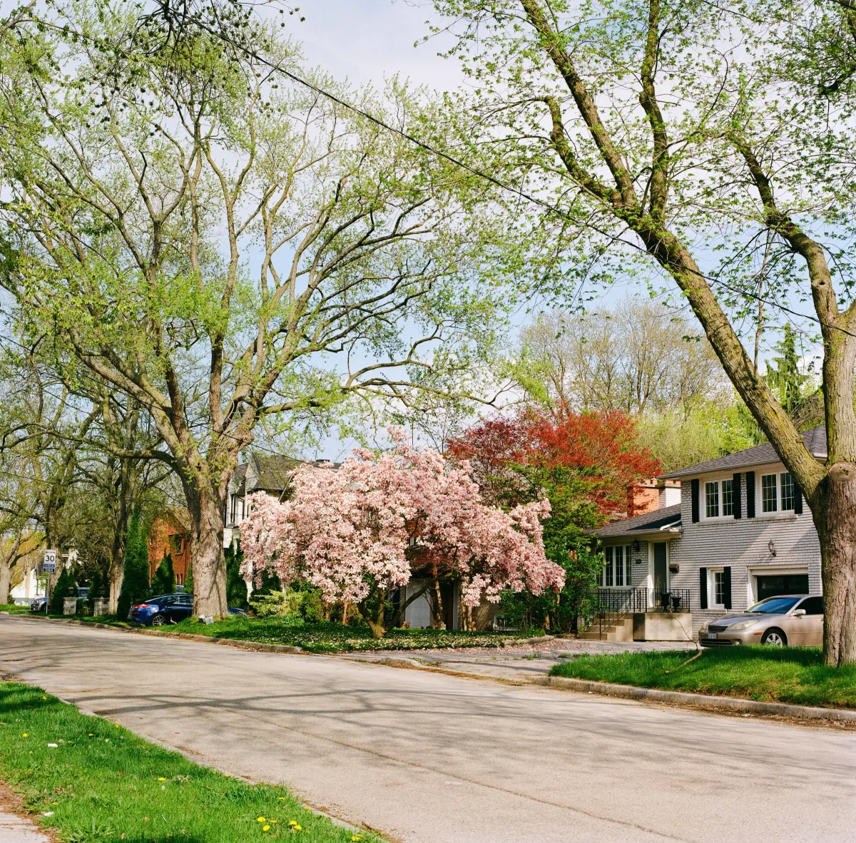 What Is It Really Like Living in Nipomo? A Local's Guide to Everyday Life (2026)