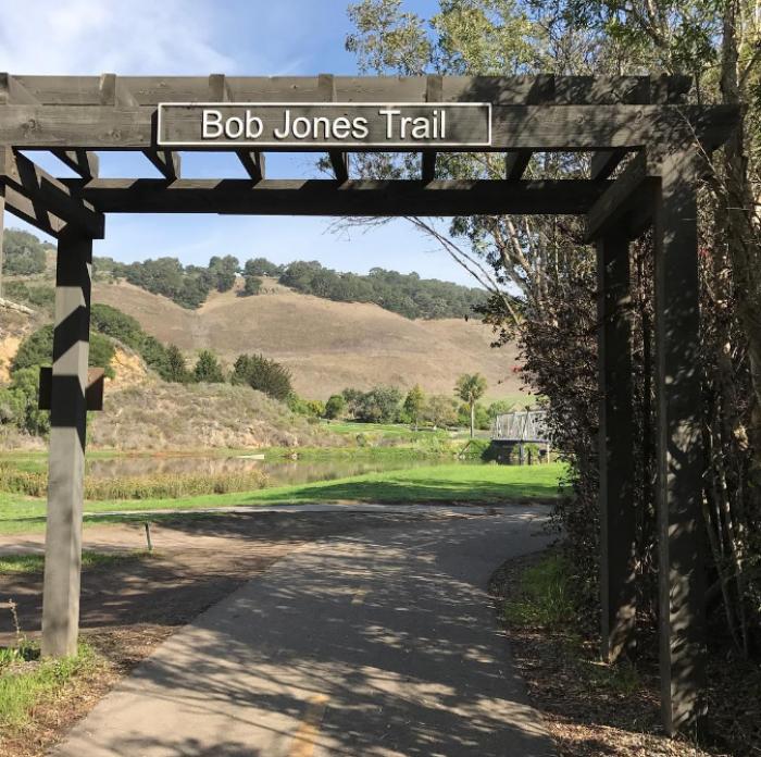 Should I Move to Avila Beach? A Complete Relocation Guide for 2026