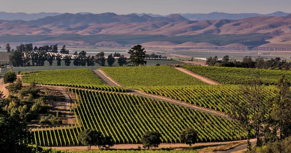 Pros and Cons of Living in Orcutt: An Honest 2026 Guide