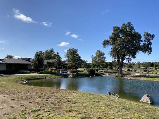 River Oaks community in Paso Robles, California, with landscaped homes, mature oak trees, rolling terrain, and surrounding wine country.