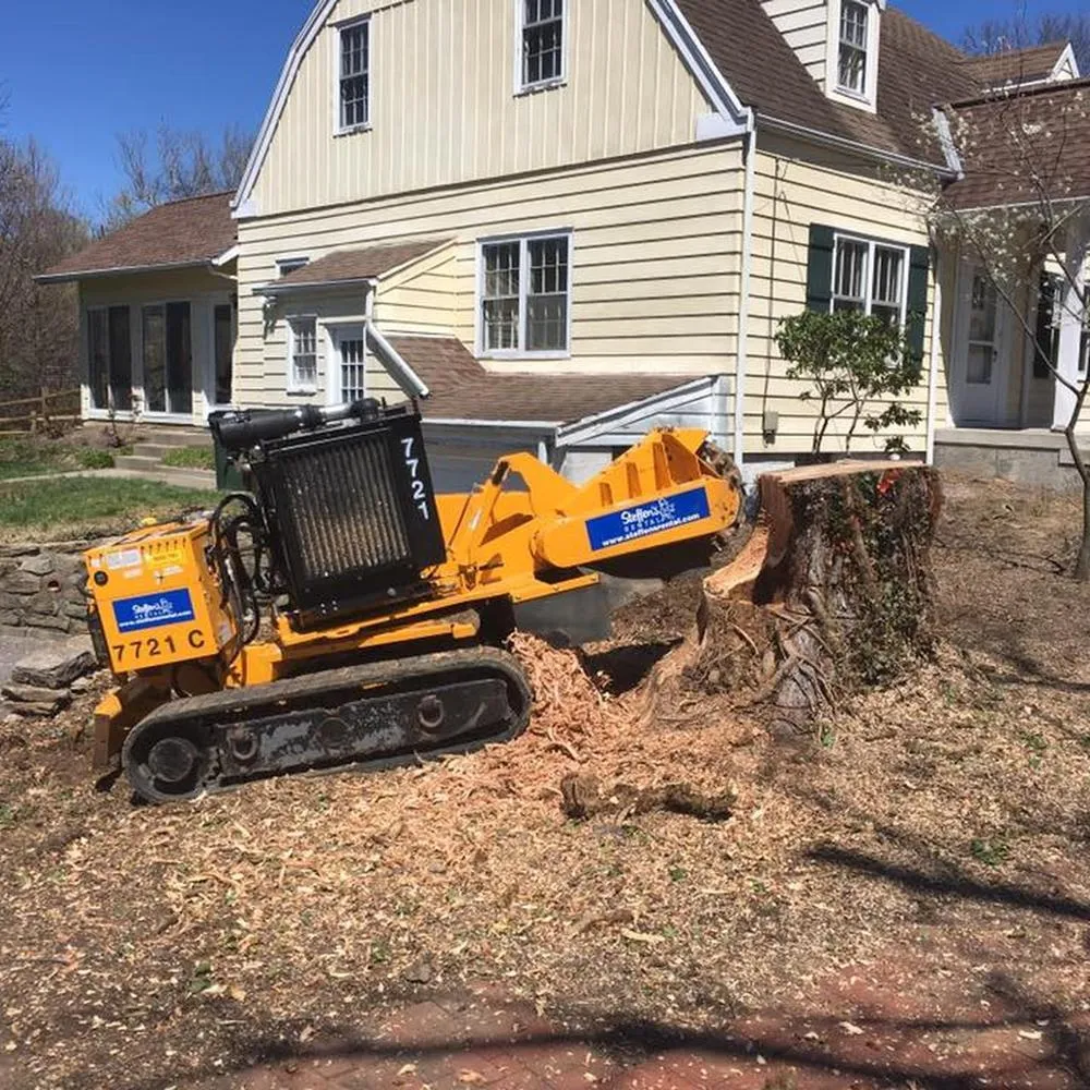 Image showing heavy stump grinding equipment being used by Go Getter Tree Service to remove a tree stump in Northern Kentucky