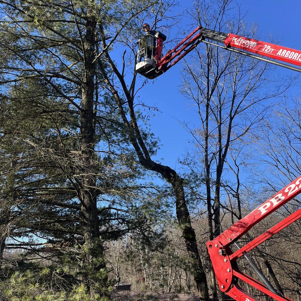 Image showing tree removal lift equipment being used by Go Getter Tree Service to prune, trim and remove dead tree branches on a property in Kentucky.