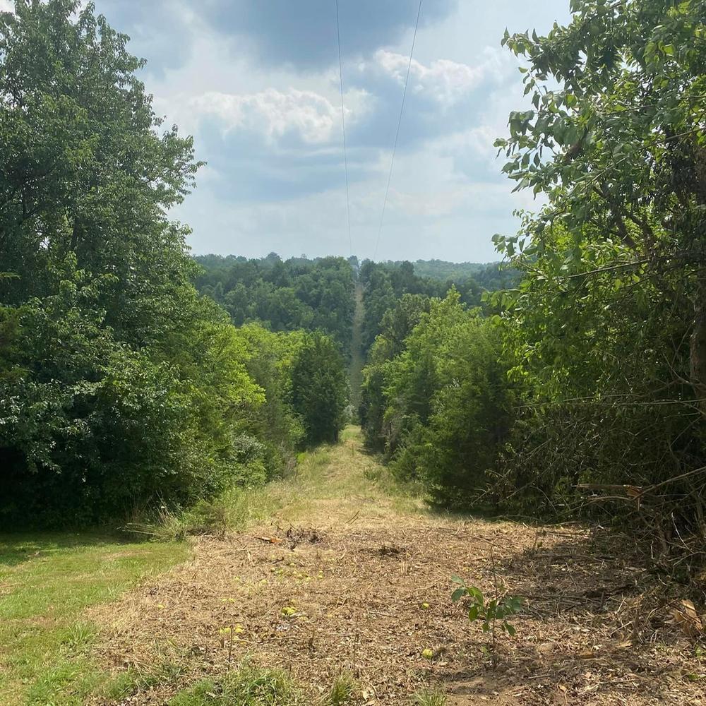 Image of Land Clearing and tree (Full-Scale Land Clearing) removal y Go Getter Tree Service in Northern Kentucky