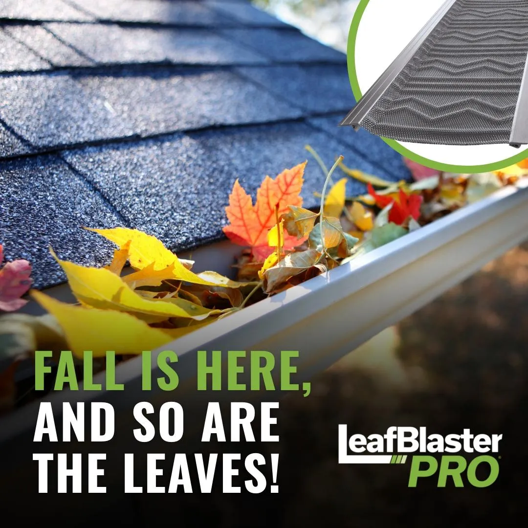 San Antonio Gutter Cleaning, Gutter Guards, Gutter Installation
