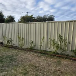 Pool fencing in 