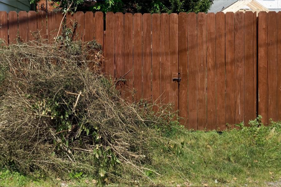 Yard Debris Removal