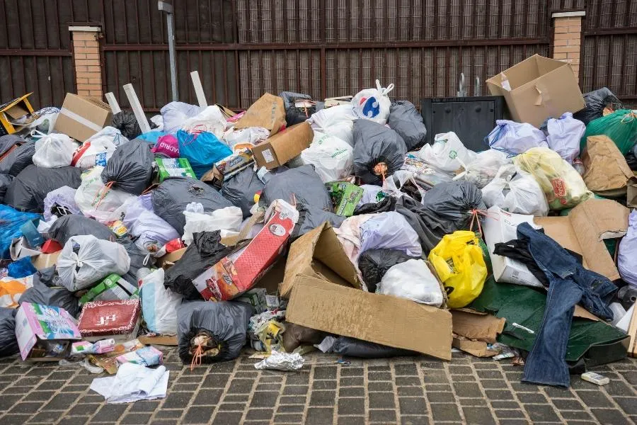 Hoarding Cleanup