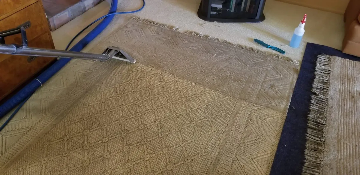 a close up of a rug with a pattern on it