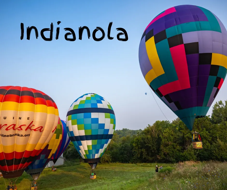 Professional Carpentry Services in  Indianola, IA