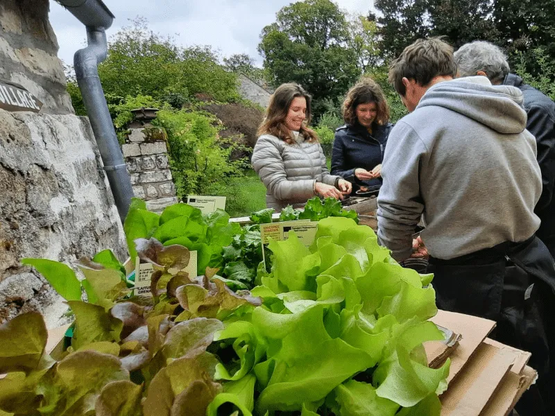 Activité Team Building