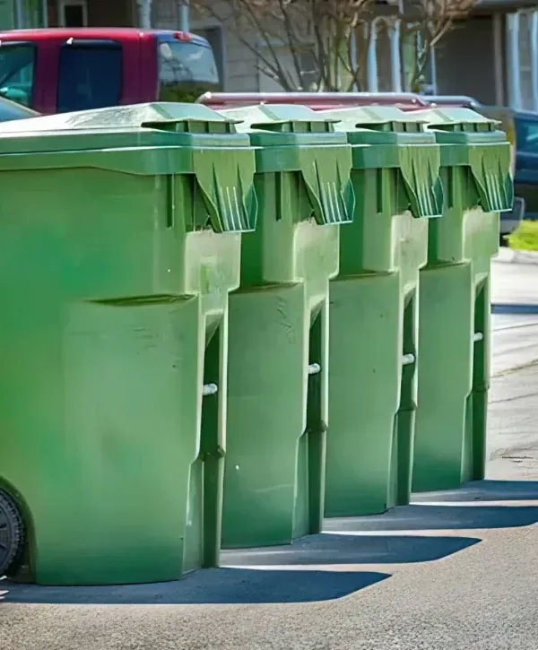 Residential trash bins lined up neatly at the curb in a suburban neighborhood.