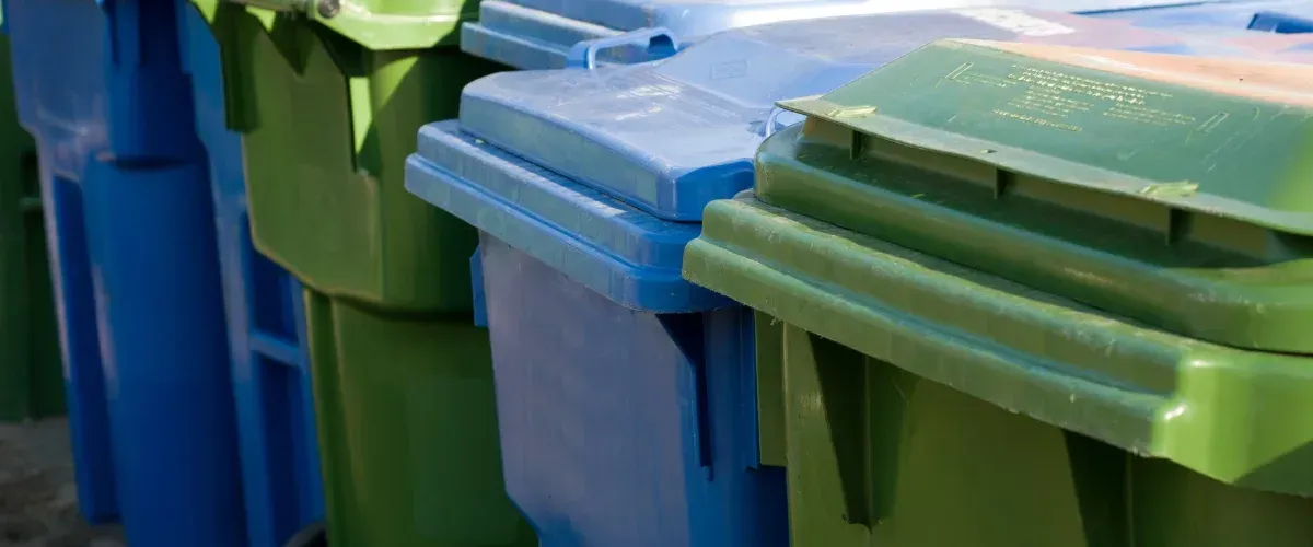 A close-up view of alternating green and blue plastic recycling bins with sunlight highlighting their lids.