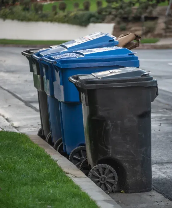 A row of various trash and recycling bins, including blue and black ones, sitting on a curb next to green grass.