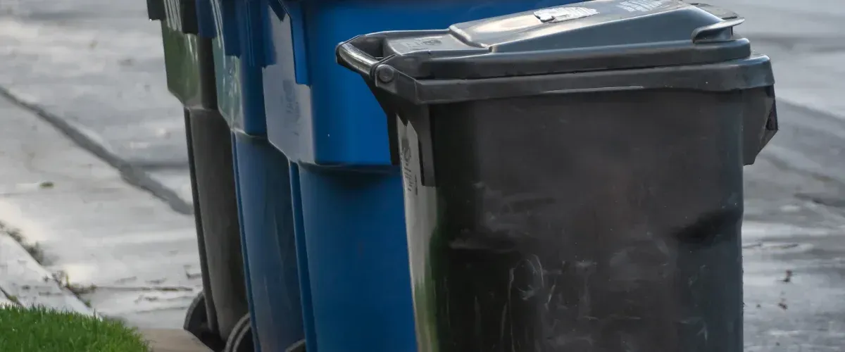 A close-up view of five blue and black recycling bins lined up next to a sidewalk with green grass.