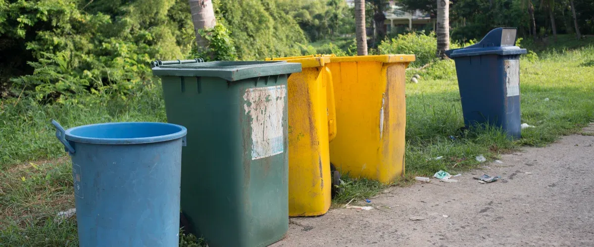 Multiple colorful trash bins, including blue, green, and yellow, lined up along a paved roadside next to lush green foliage.