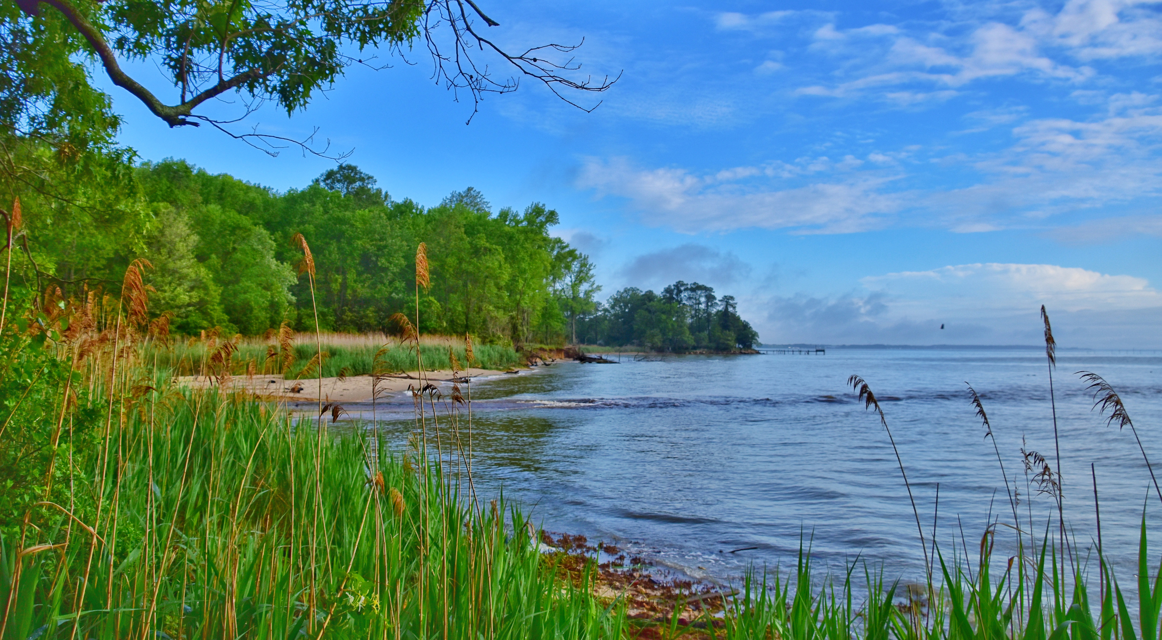 How to Make a Google Review Card