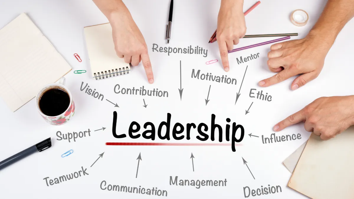 Corporate systems analysis for COOs and CEOs of 100-500 employee organizations focused on leadership infrastructure