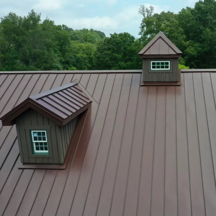 Metal Roofing