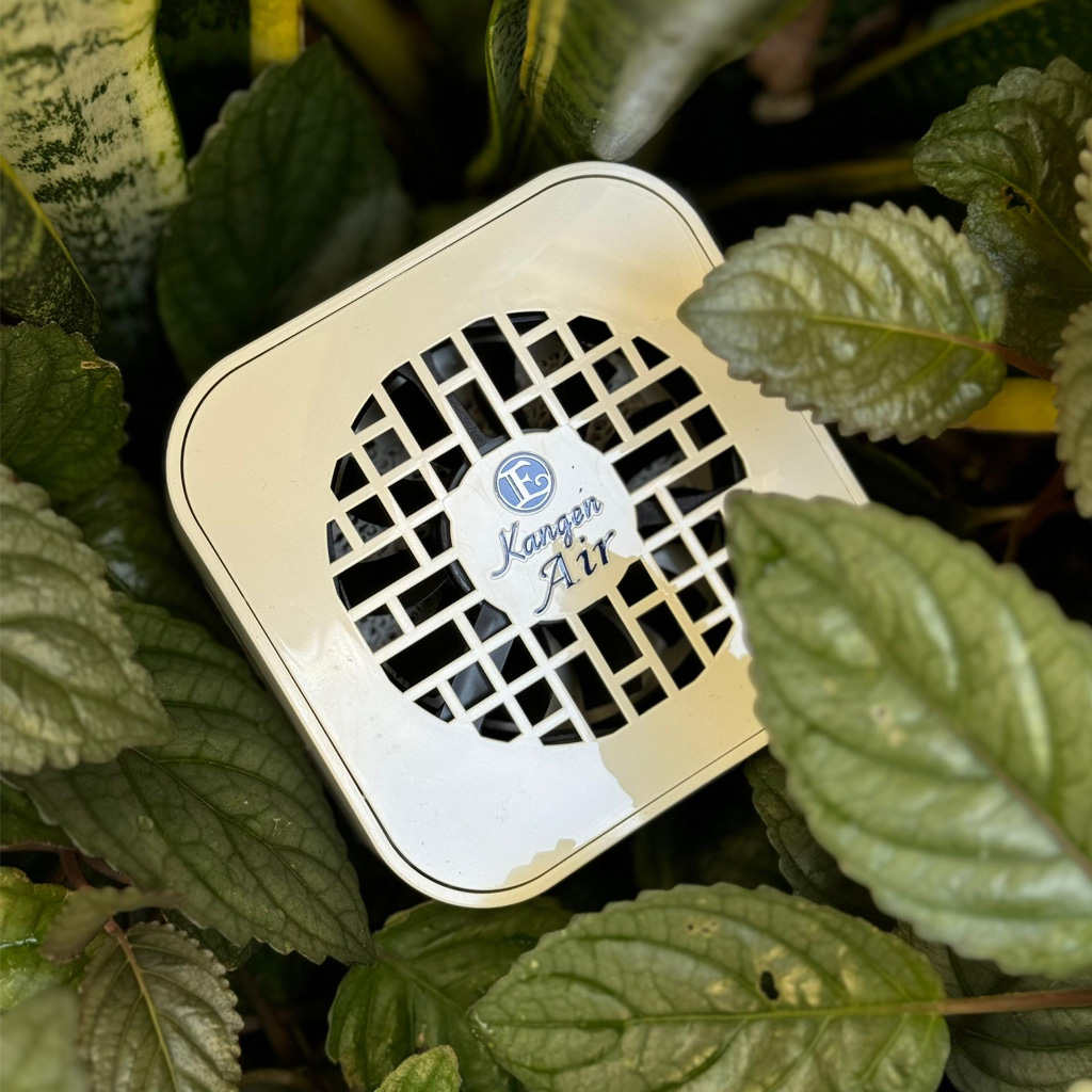 Enagic Kangen Air portable air purifier unit nestled among green leafy plants.