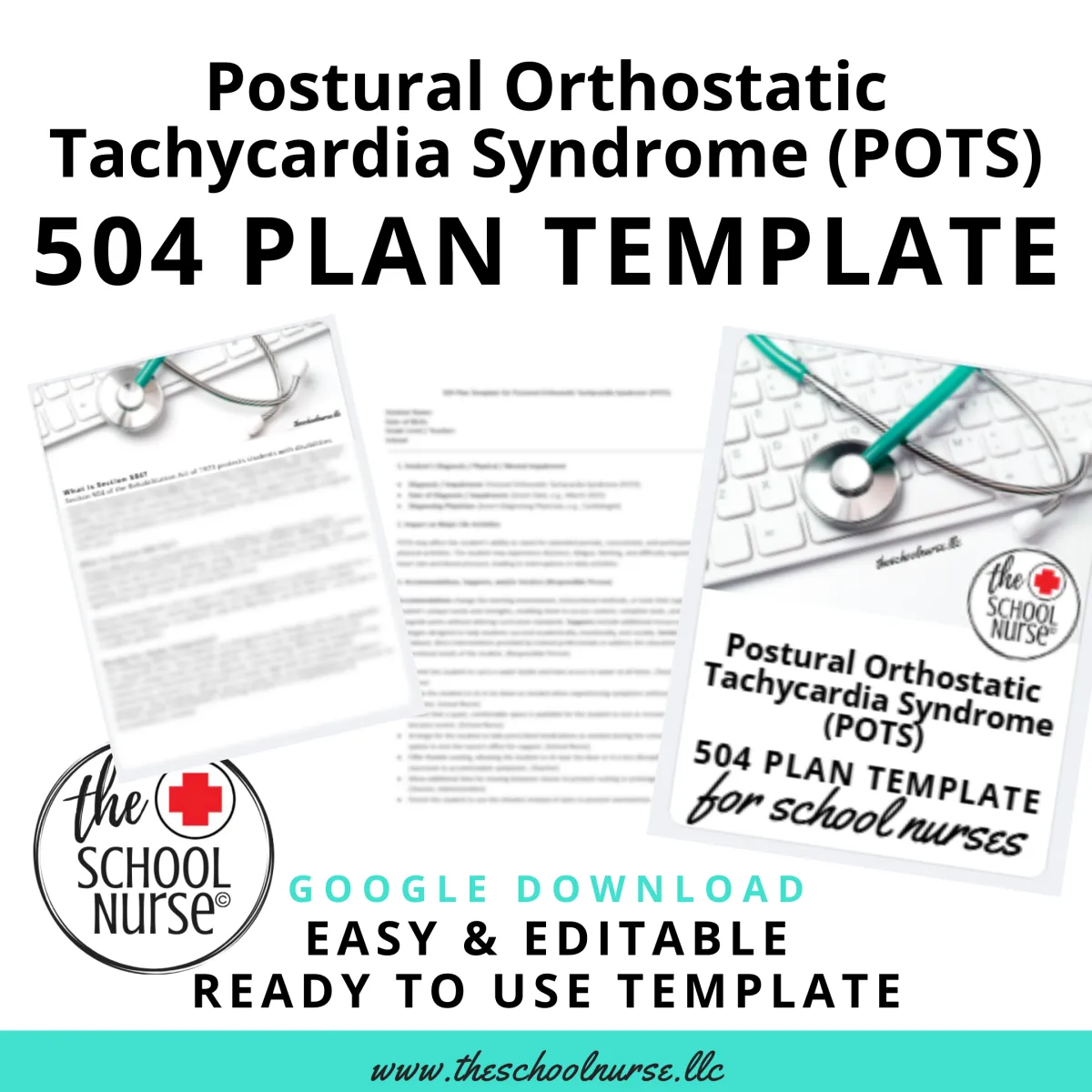 POT 504 Plan Template