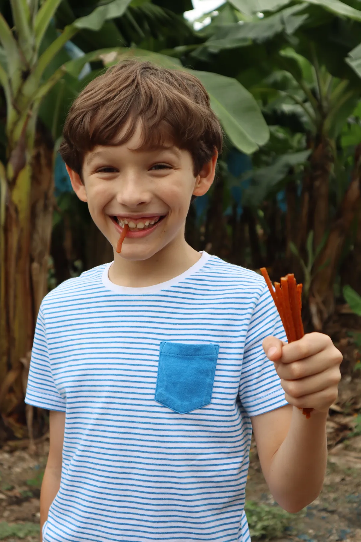 Niño comiendo tiras ¡Ala Terra! en una plantación de plátano