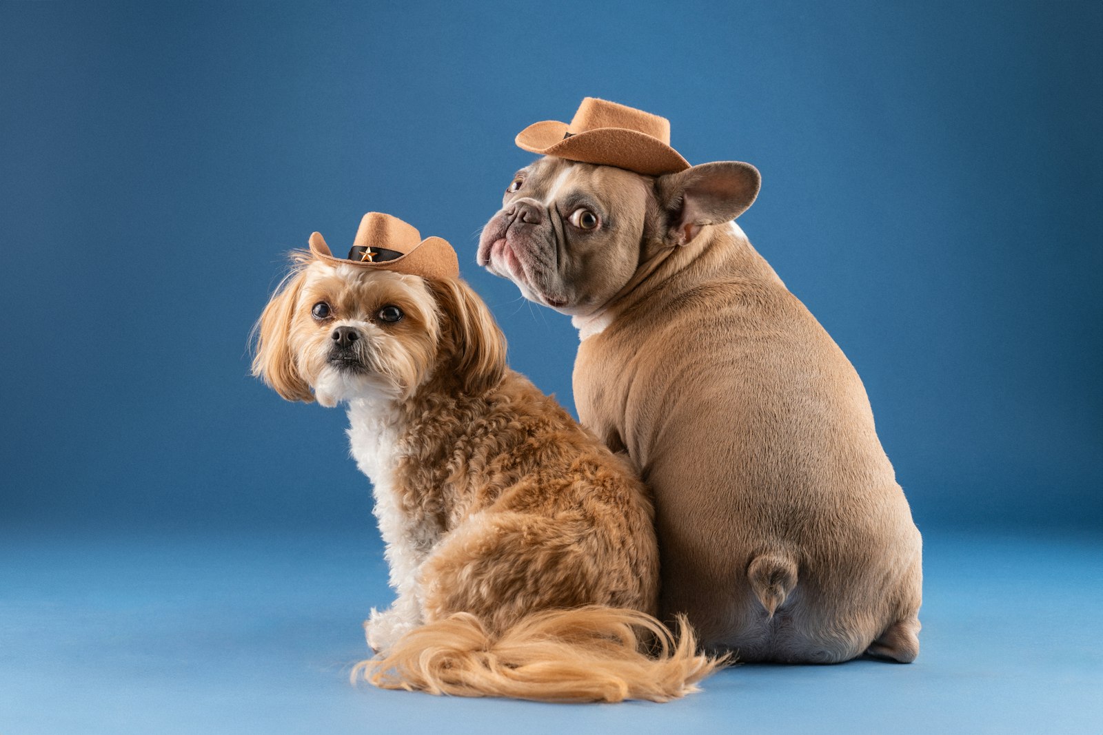 Austin Texas Luxury Real Estate Agent: Your Guide to Finding the Right Realtor
