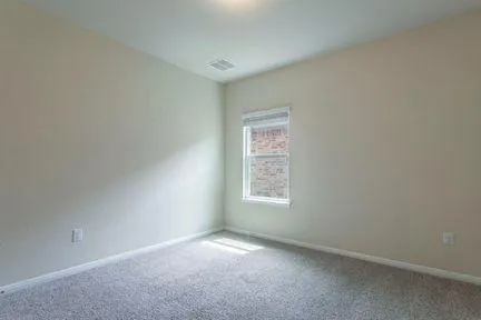 53938849