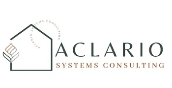 Flow Systems Consulting logo