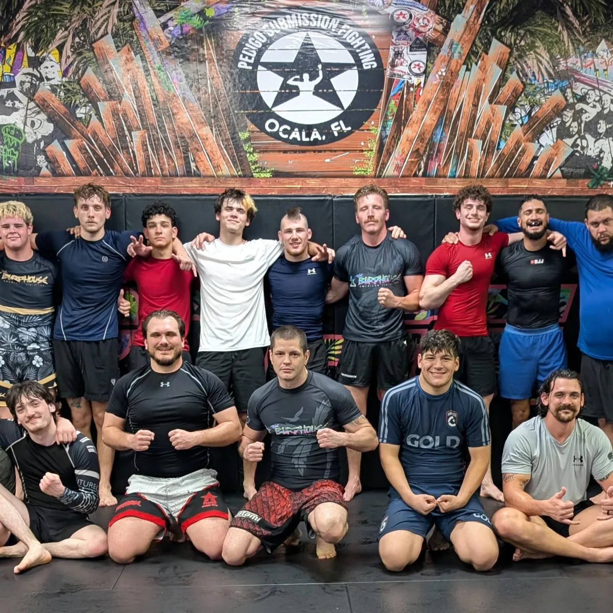 adult jiu jitsu